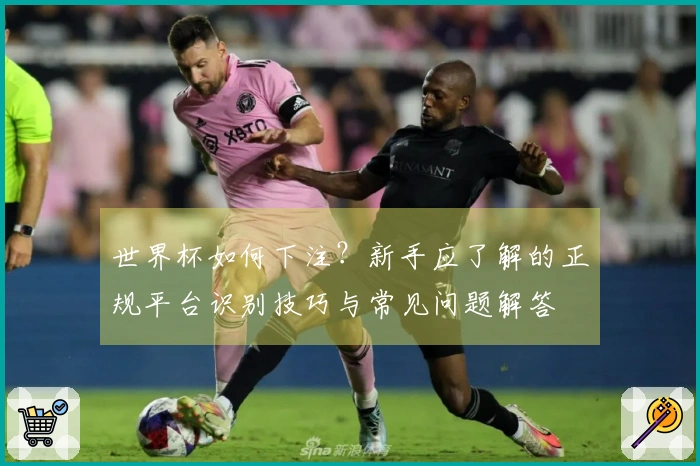 世界杯如何下注？新手应了解的正规平台识别技巧与常见问题解答