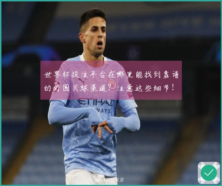 世界杯投注平台在哪里能找到靠谱的外围买球渠道？注意这些细节！