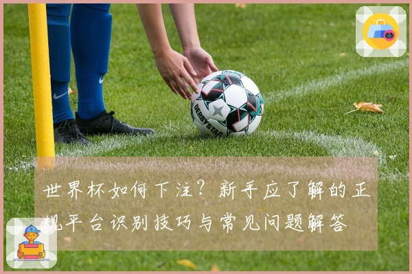 世界杯如何下注？新手应了解的正规平台识别技巧与常见问题解答